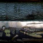 Image: Second image from the photoset 'zürich (ii)'.