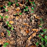 Image: Fifth image from the photoset 'zürich (ii)'.