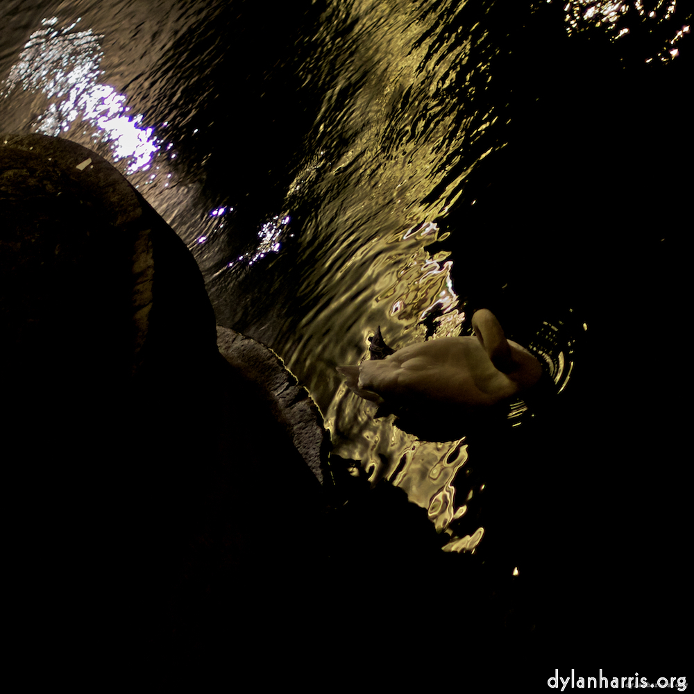 Image: Image 'zürich (iii) 3'.