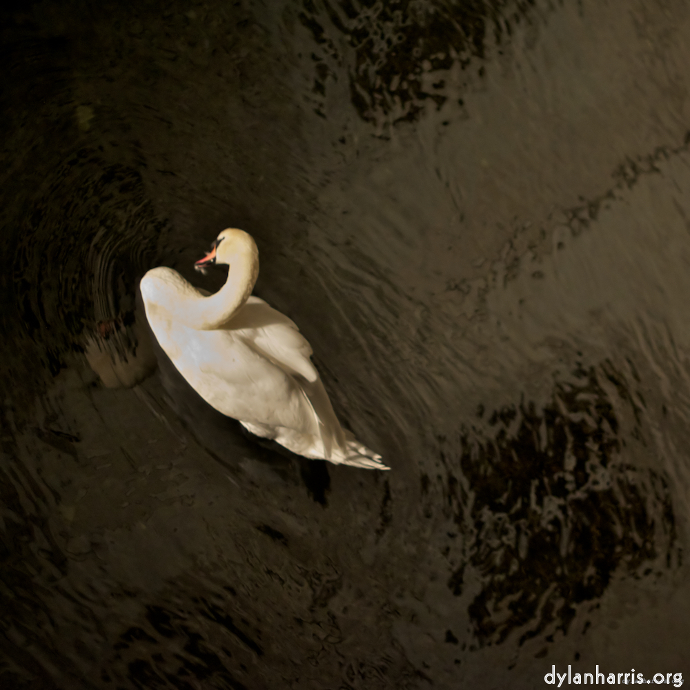 Image: Image 'zürich (iii) 9'.