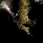 Image: Third image from the photoset 'zürich (iii)'.