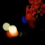 Image: Tenth image from the photoset 'montmartre (xv)'.