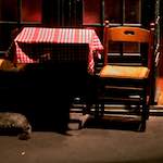 Image: Second image from the photoset 'montmartre (xv)'.