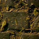 Image: Fourth image from the photoset 'montmartre (xv)'.