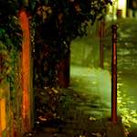 Image: Ninth image from the photoset 'montmartre (xv)'.