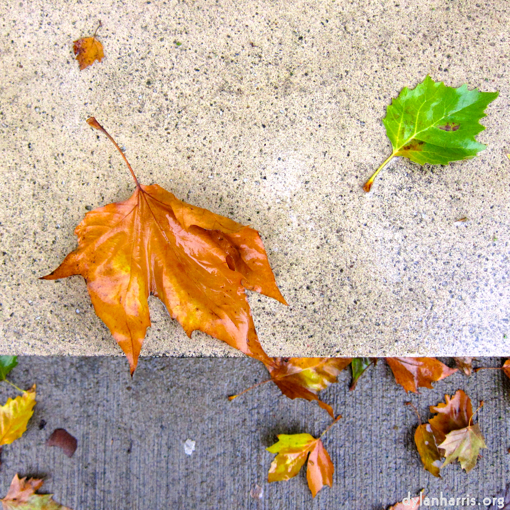 image: This is ‘
luxembourg (iv) 1
’.