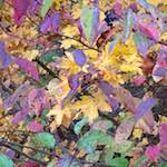 image: Image from the photoset ‘
luxembourg (iv)
’.