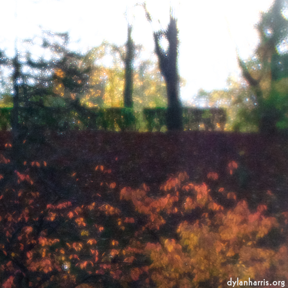 image: Dëst ass ‘park (xl) 3’.