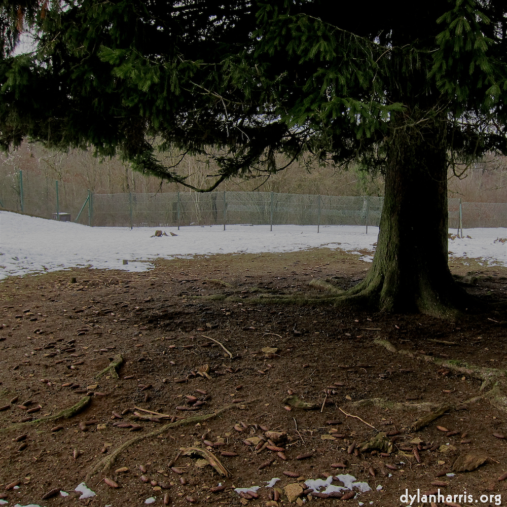 image: Image 'esch–sur–alzette (xx) 3', at Escher Déiereesch, the head and crest of a chicken.