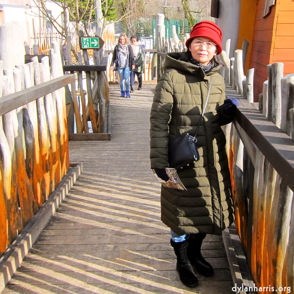 image: Image 'esch–sur–alzette (xx) 4', at Escher Déiereesch, a doe realises I’ve no treats.