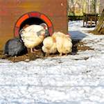 image: Image from the photoset ‘
esch–sur–alzette (xx)
’.