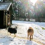 image: Image from the photoset ‘
esch–sur–alzette (xx)
’.