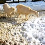 image: Image from the photoset ‘
esch–sur–alzette (xx)
’.