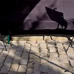 image: Image from the photoset ‘
konscht am gronn (iii)
’.