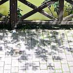 image: Image from the photoset ‘
konscht am gronn (iii)
’.