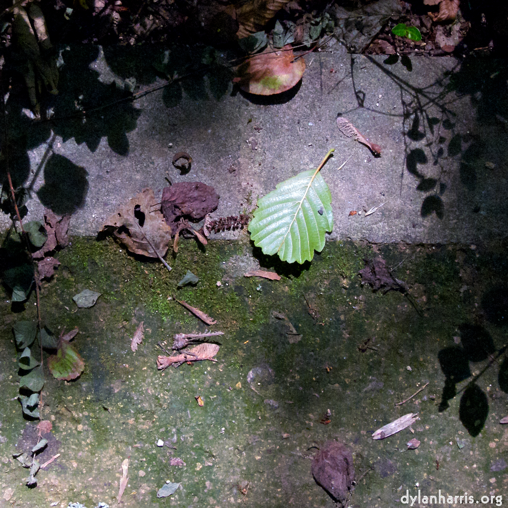 Image 'parc (viii) 2'.