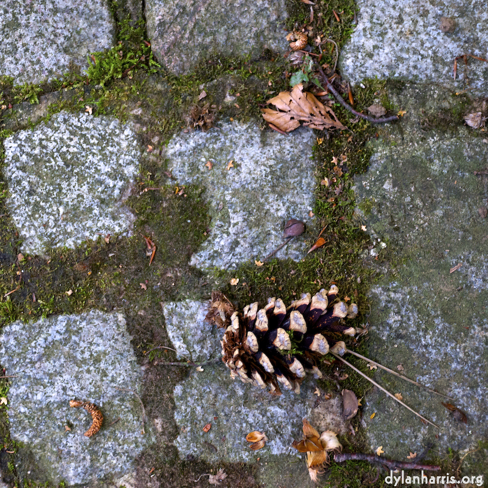 Image 'parc (ix) 2'.