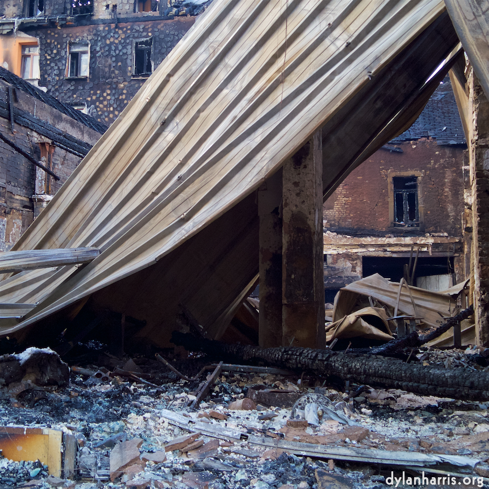 Image: Image 'esch–sur–alzette (xvii) 4', at Escher Déiereesch, a doe realises I’ve no treats.