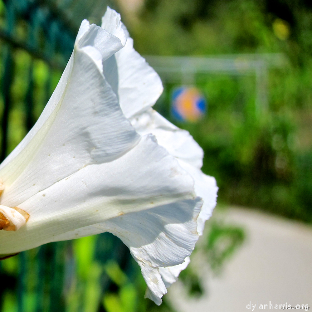 image: This is ‘
konscht am gronn (ii) 4
’.