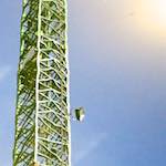 image: Image from the photoset ‘
konscht am gronn (ii)
’.