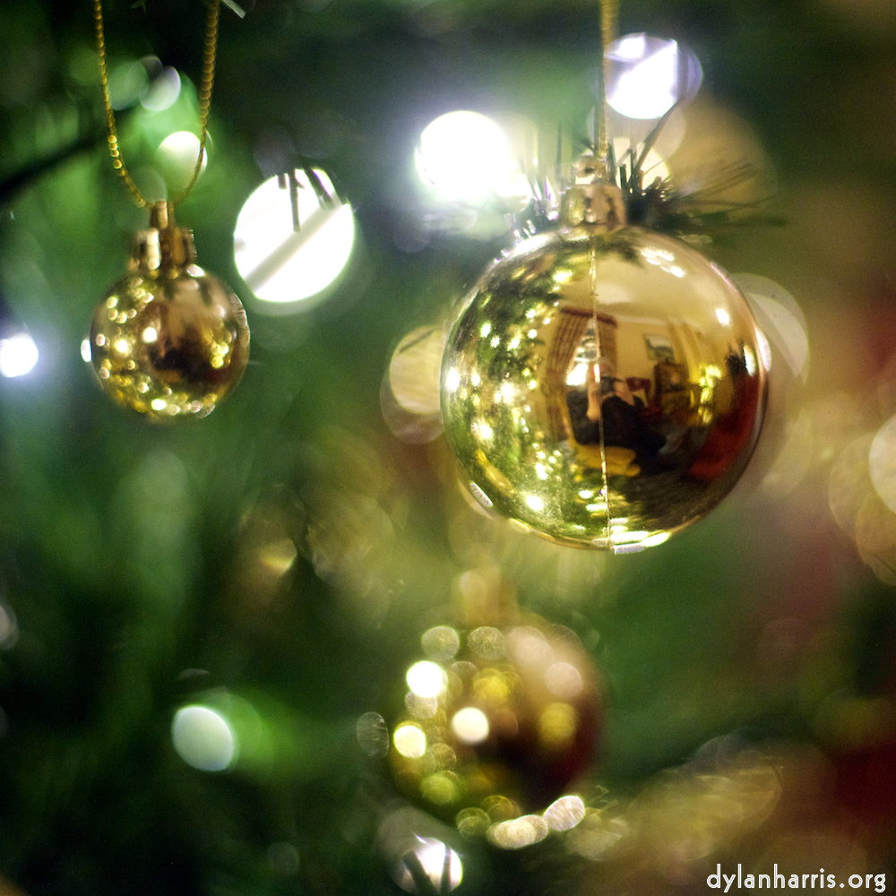 image: This is &lsquo;auto (xi) 1&rsquo;.