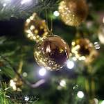 image: Image from the photoset &lsquo;auto (xi)&rsquo;.