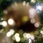 image: Image from the photoset &lsquo;auto (xi)&rsquo;.