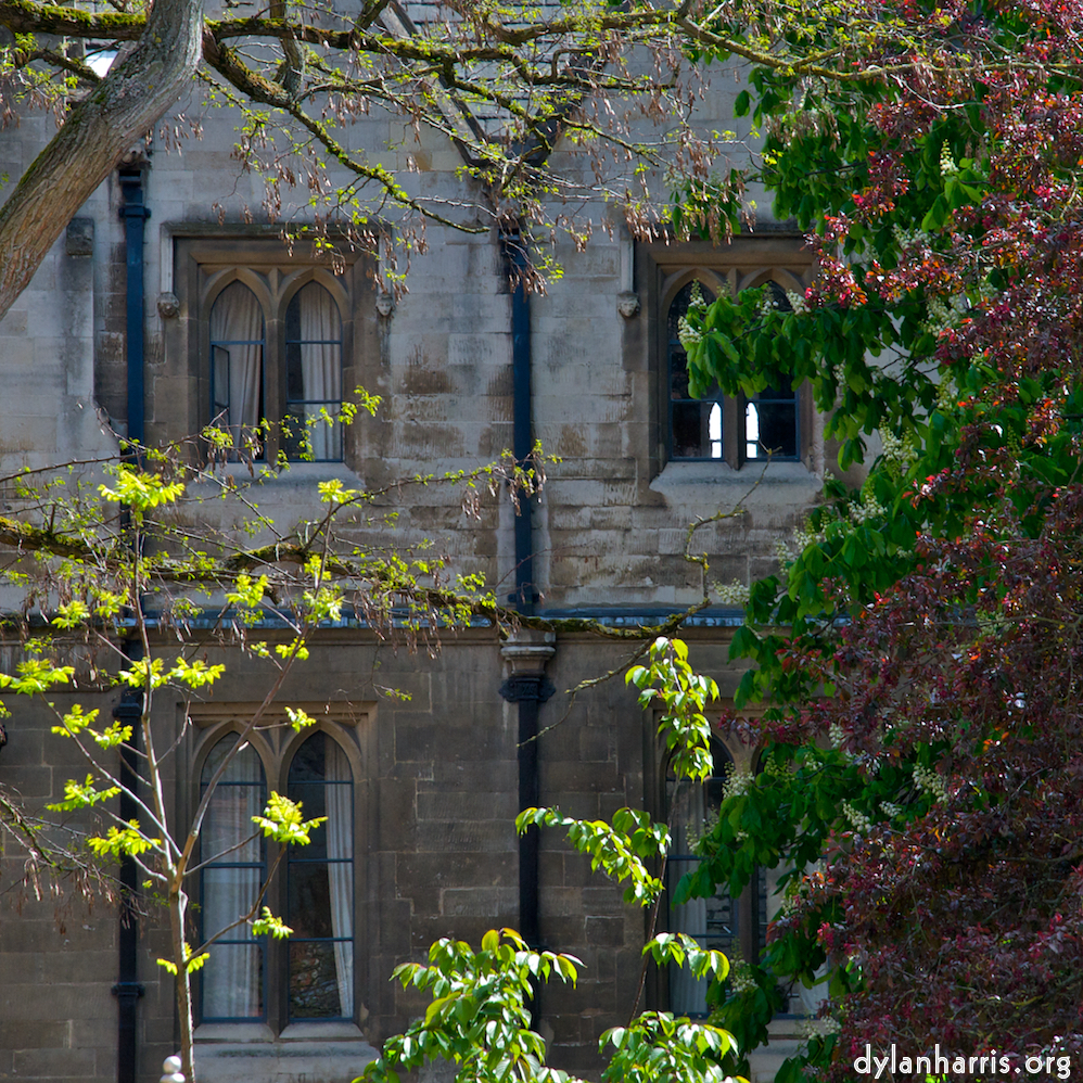 Image 'cambridge 1'.