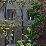 First image from the photoset 'cambridge'.