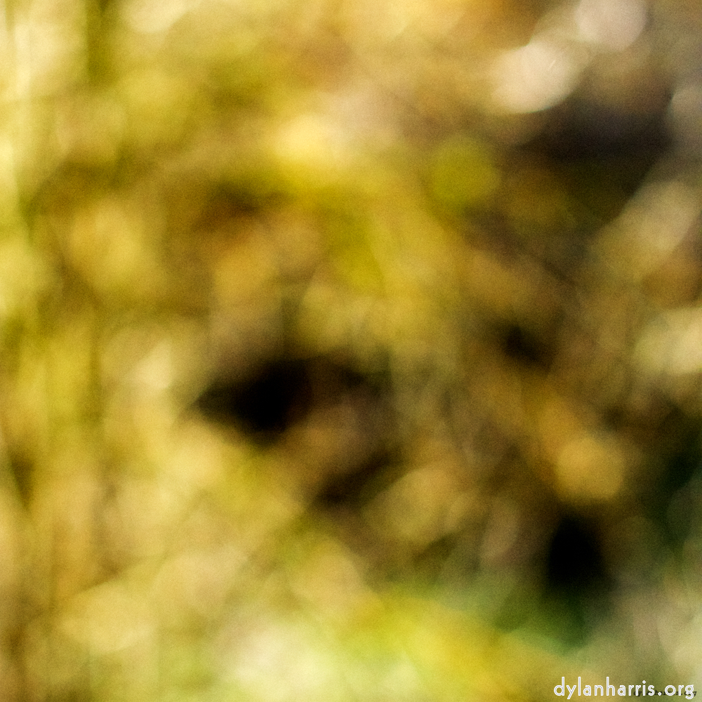 Image: Image 'wood (xx) 1'