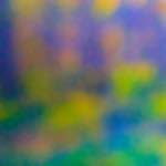 image: Image from the photoset ‘
wood (xx)
’.