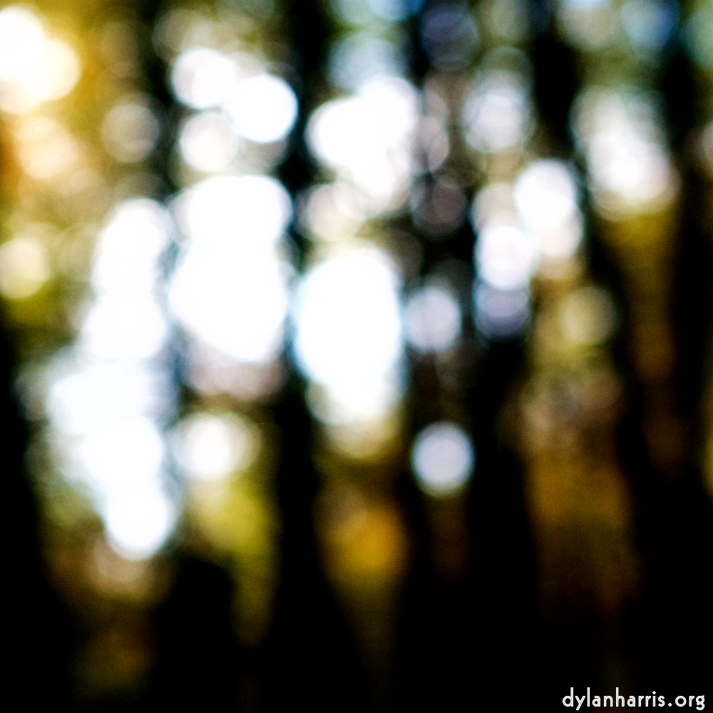 Image: Image 'wood (xxi) 1'