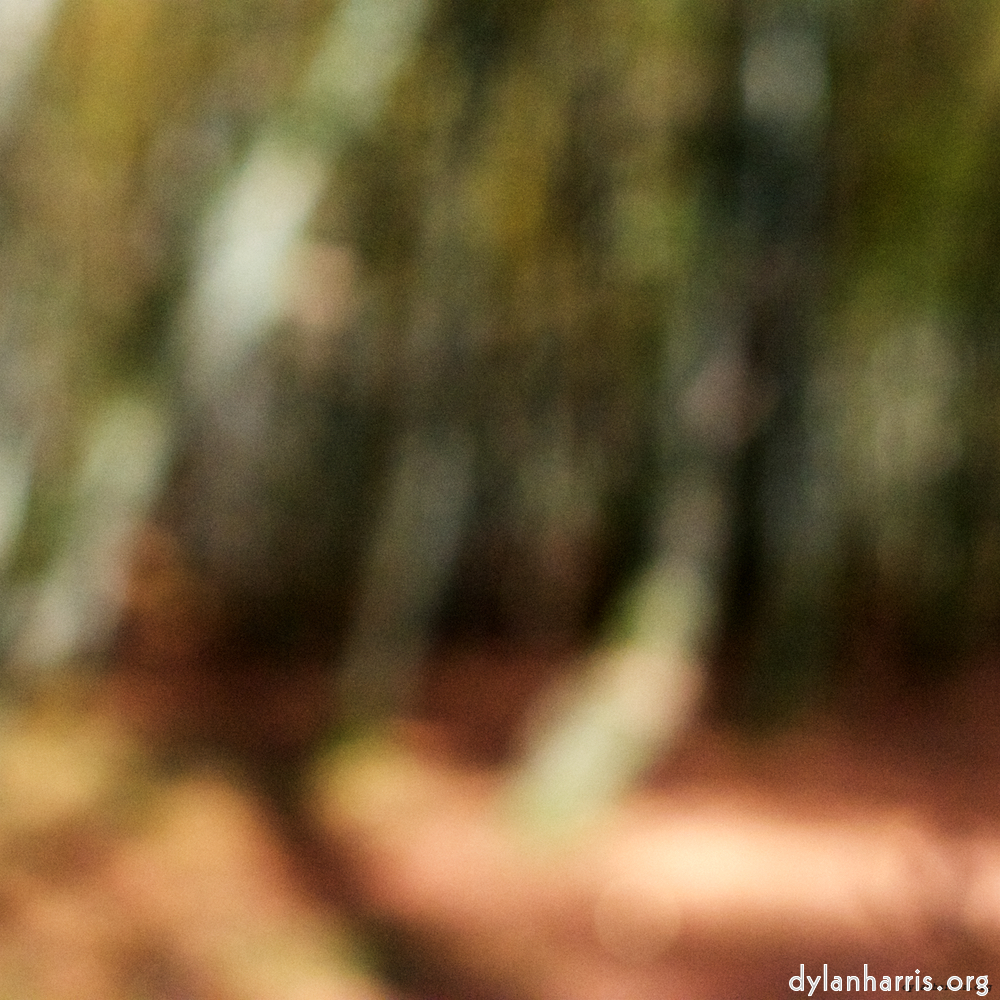 Image: Image 'wood (xxii) 1'