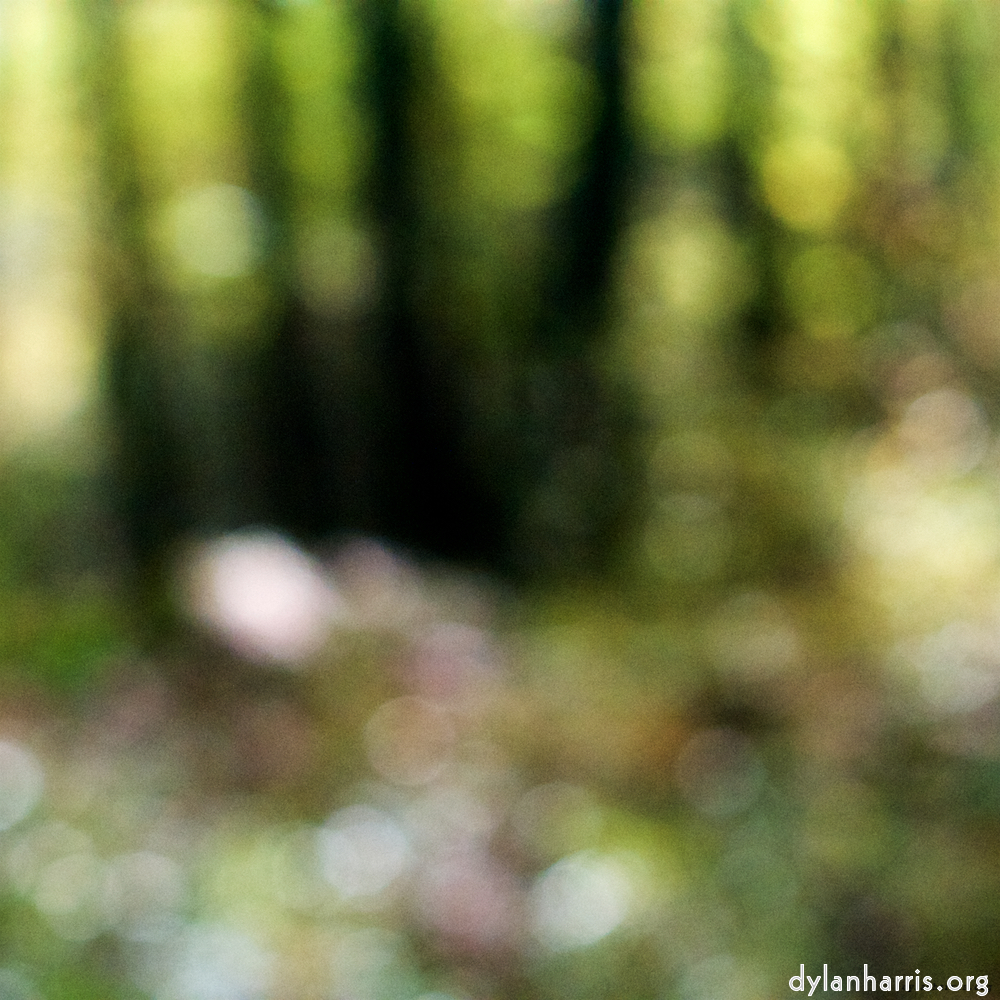 Image 'wood (xxii) 7'.