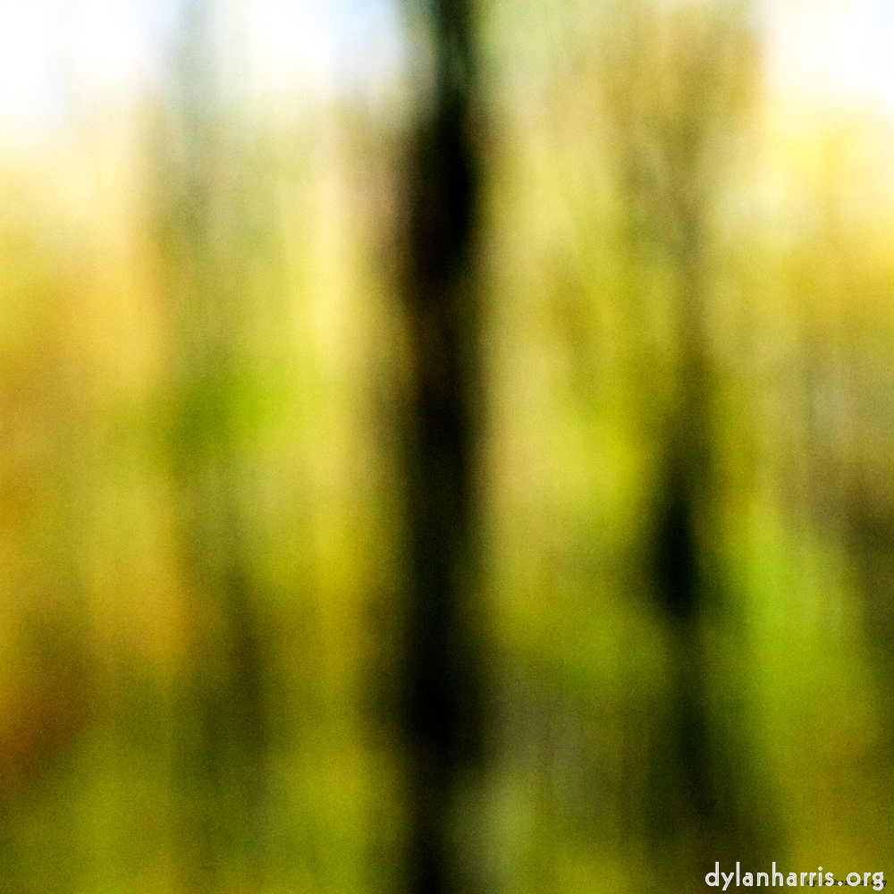 Image 'wood (xxii) 8'