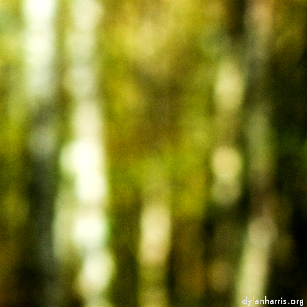 image: This is ‘
wood (xxiii) 5
’.