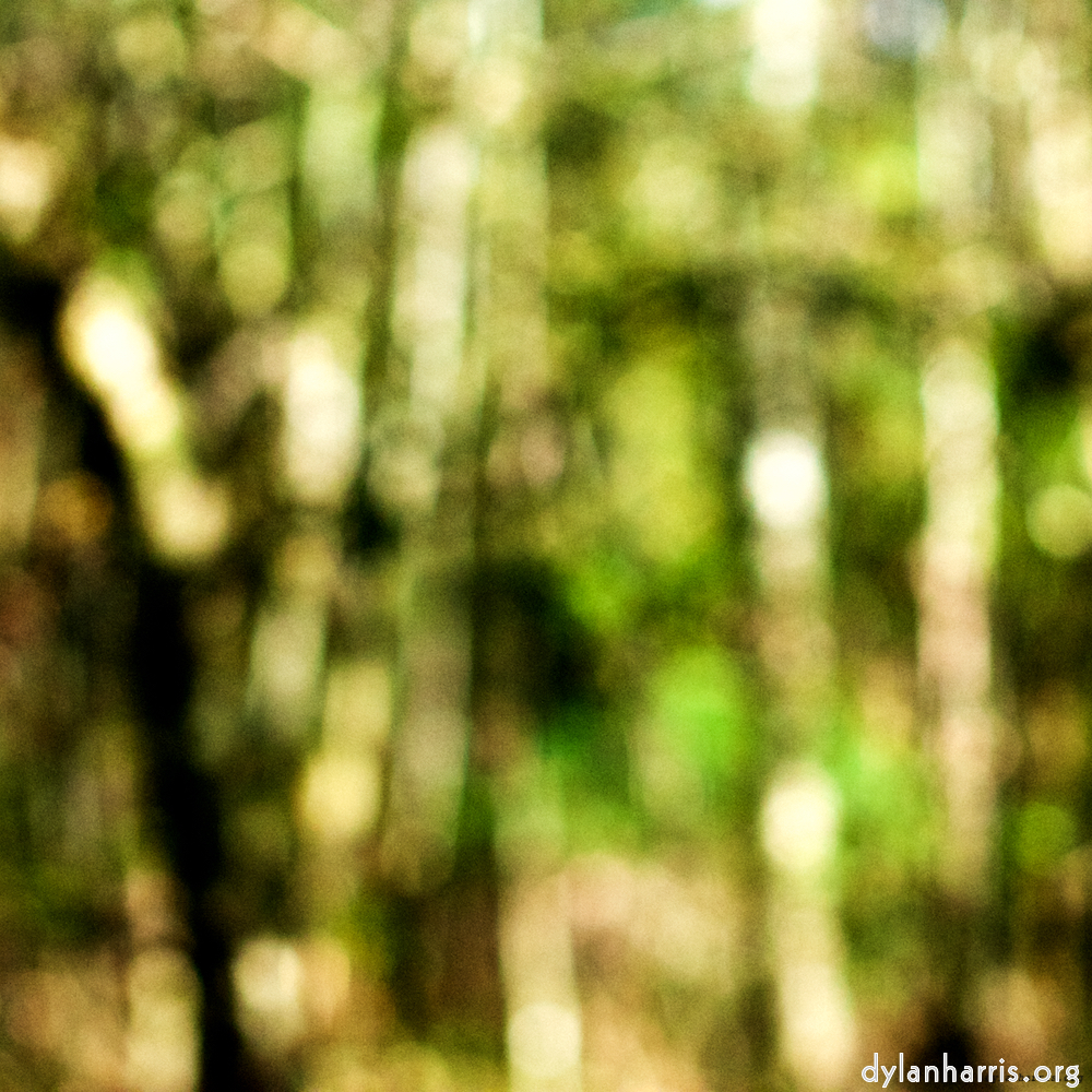 Image: Image 'wood (xxiv) 3'