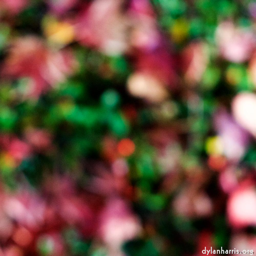 Image: Image 'wood (xxiv) 4'