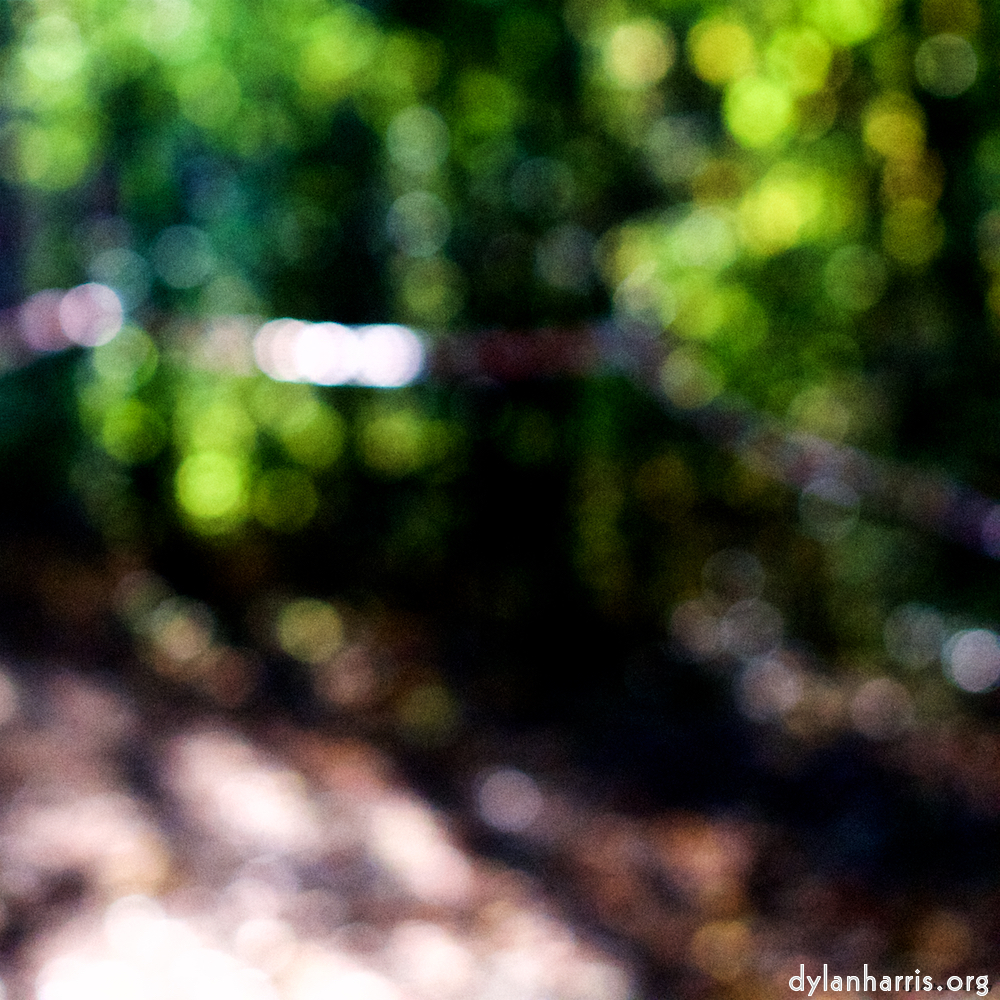 Image 'wood (xxiv) 6'