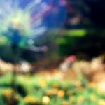 Image: Eighth image from the photoset 'wood (xxiv)'.