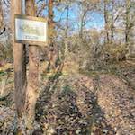 image: Image from the photoset ‘
south (ii)
’.