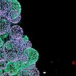 image: Image from the photoset ‘
dublin (xiii)
’.