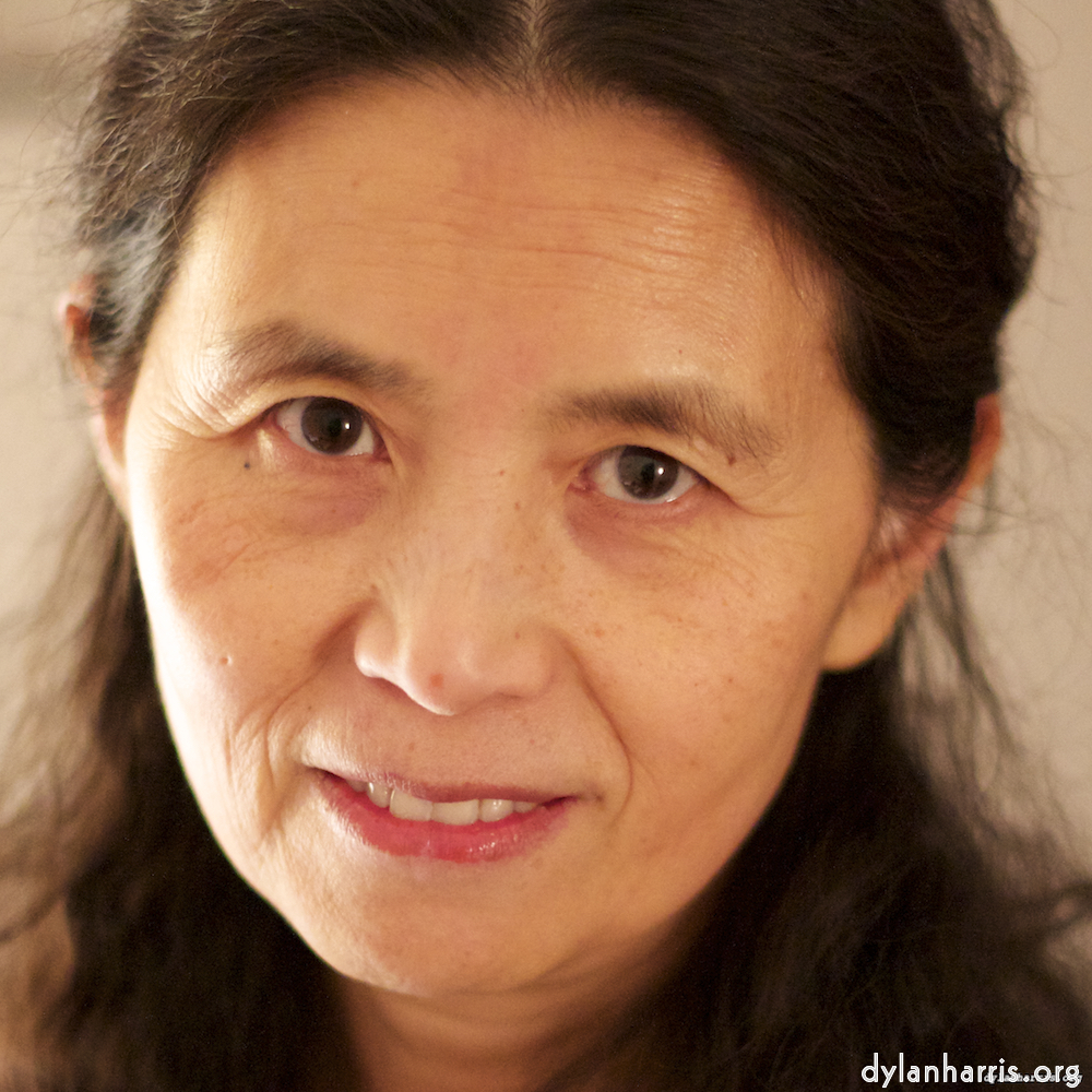 image: This is ‘
L (i) 2
’.