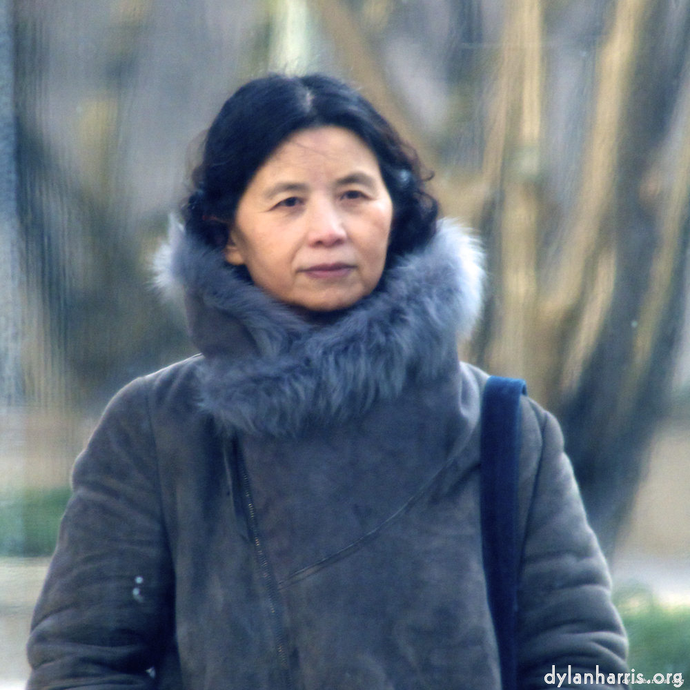 image: This is ‘
L (i) 4
’.