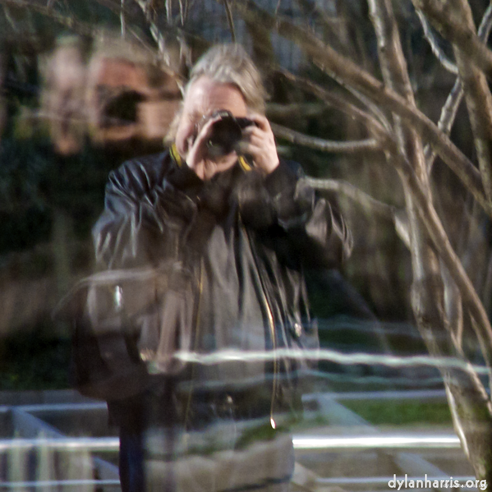 image: This is ‘
L (i) 5
’.