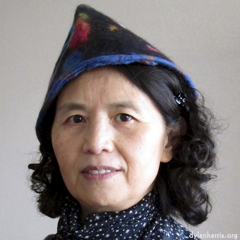 image: This is ‘
L (i) 7
’.