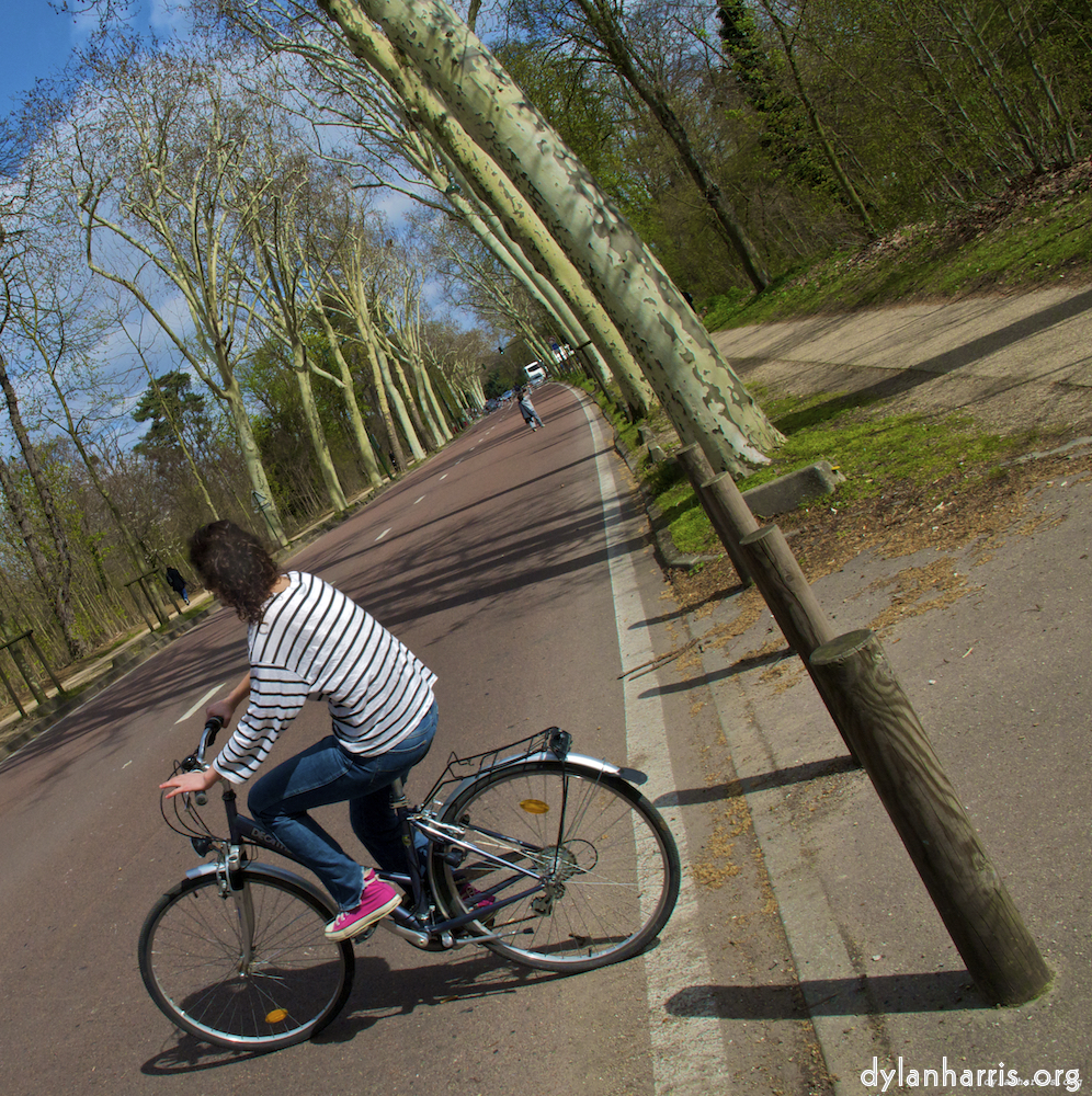 Image: Image 'paris (iii) 3'.