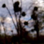 Image: Second image from the photoset 'paris (iii)'.