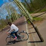 Image: Third image from the photoset 'paris (iii)'.