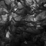 Image: Sixth image from the photoset 'paris (iii)'.